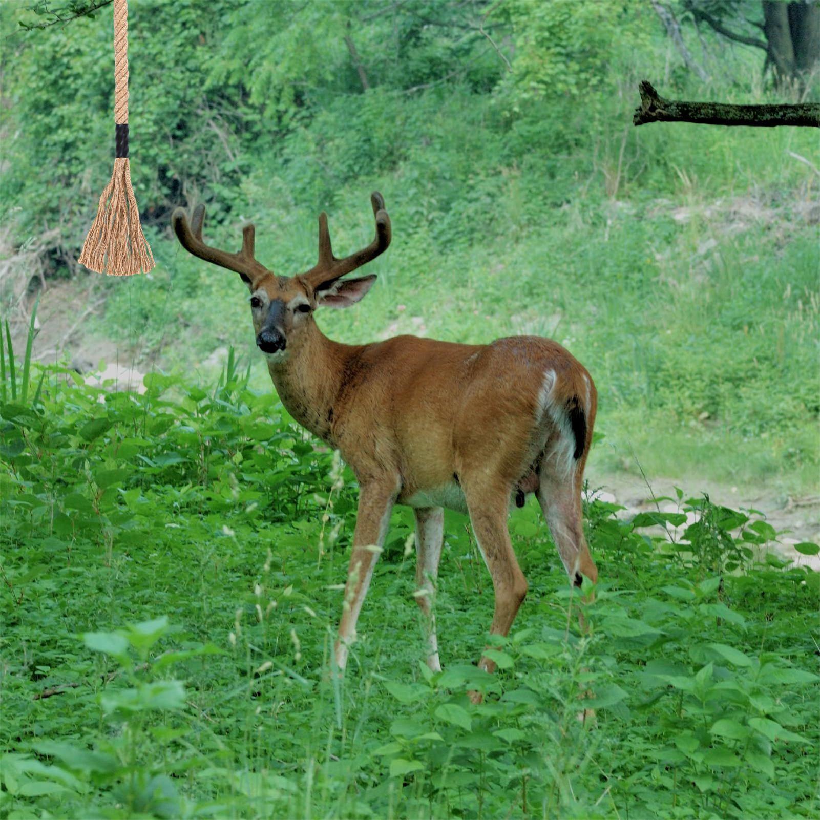 Deer Attractant Scent - Pengharum Rusa Efektif Tahan Lama, Rumbai