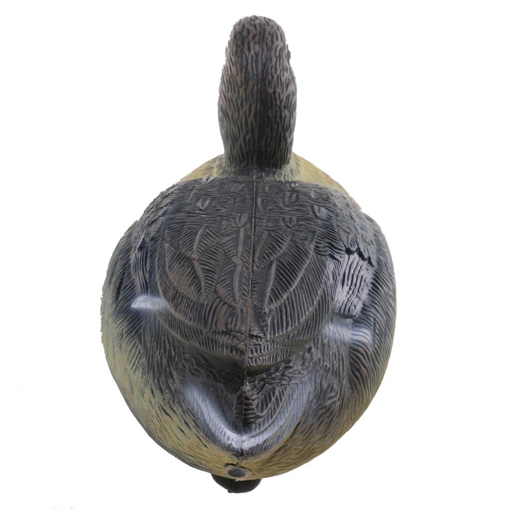 Umpan Bebek Plastik Sangat Rea - Decoy Duck Plastic ulasan dan harga