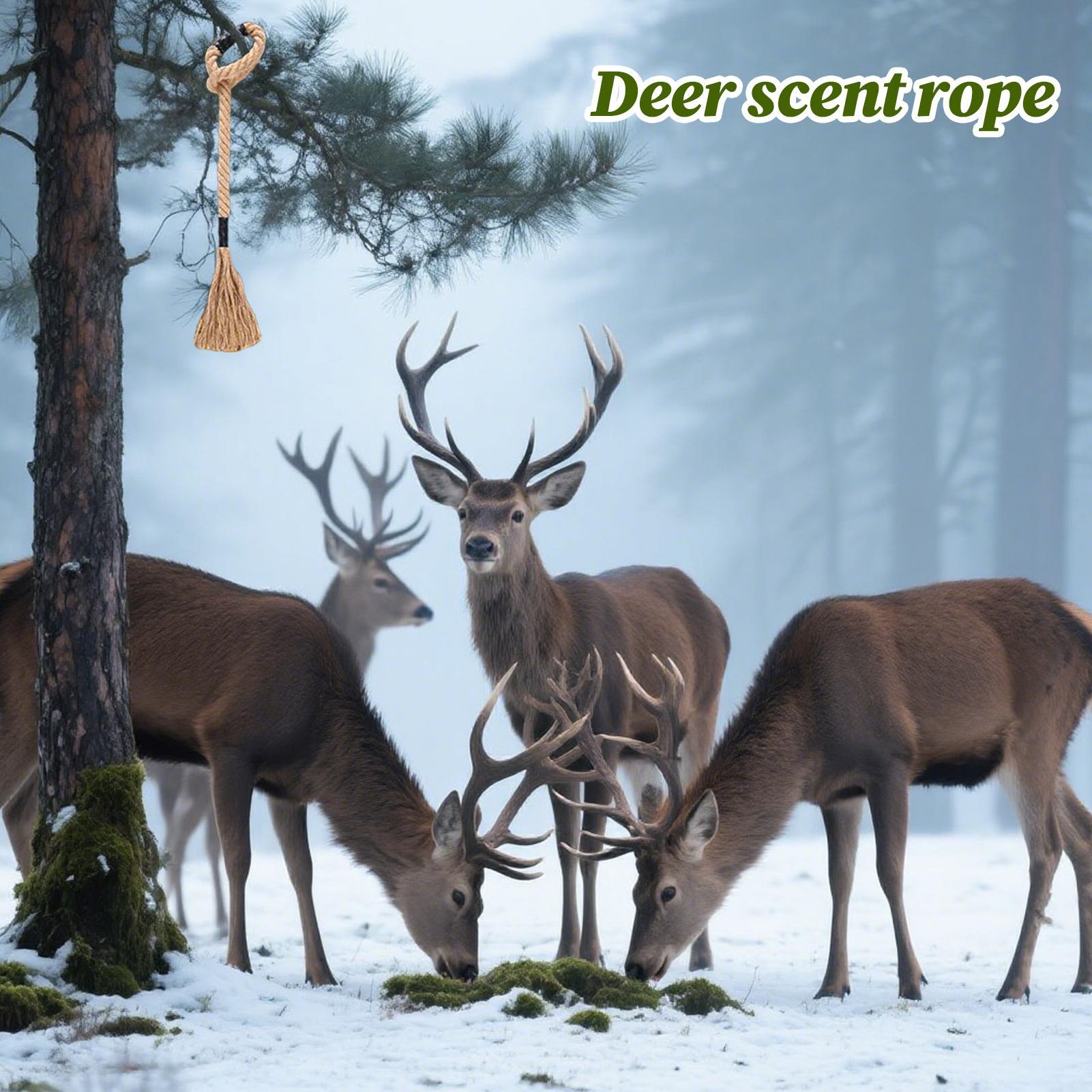 Pengharum Rusa Efektif Tahan L - Deer Attractant Scent ulasan dan harga