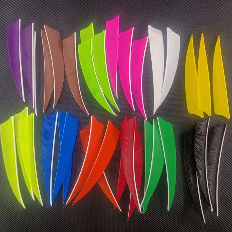 50pcs Bulu Panah Archery 4'' B - Arrow Carbon Shaft ulasan dan harga