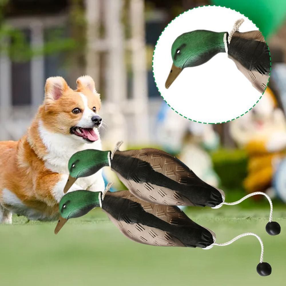 Mainan Pelatihan Anjing Umpan  - Decoy Duck Plastic ulasan dan harga