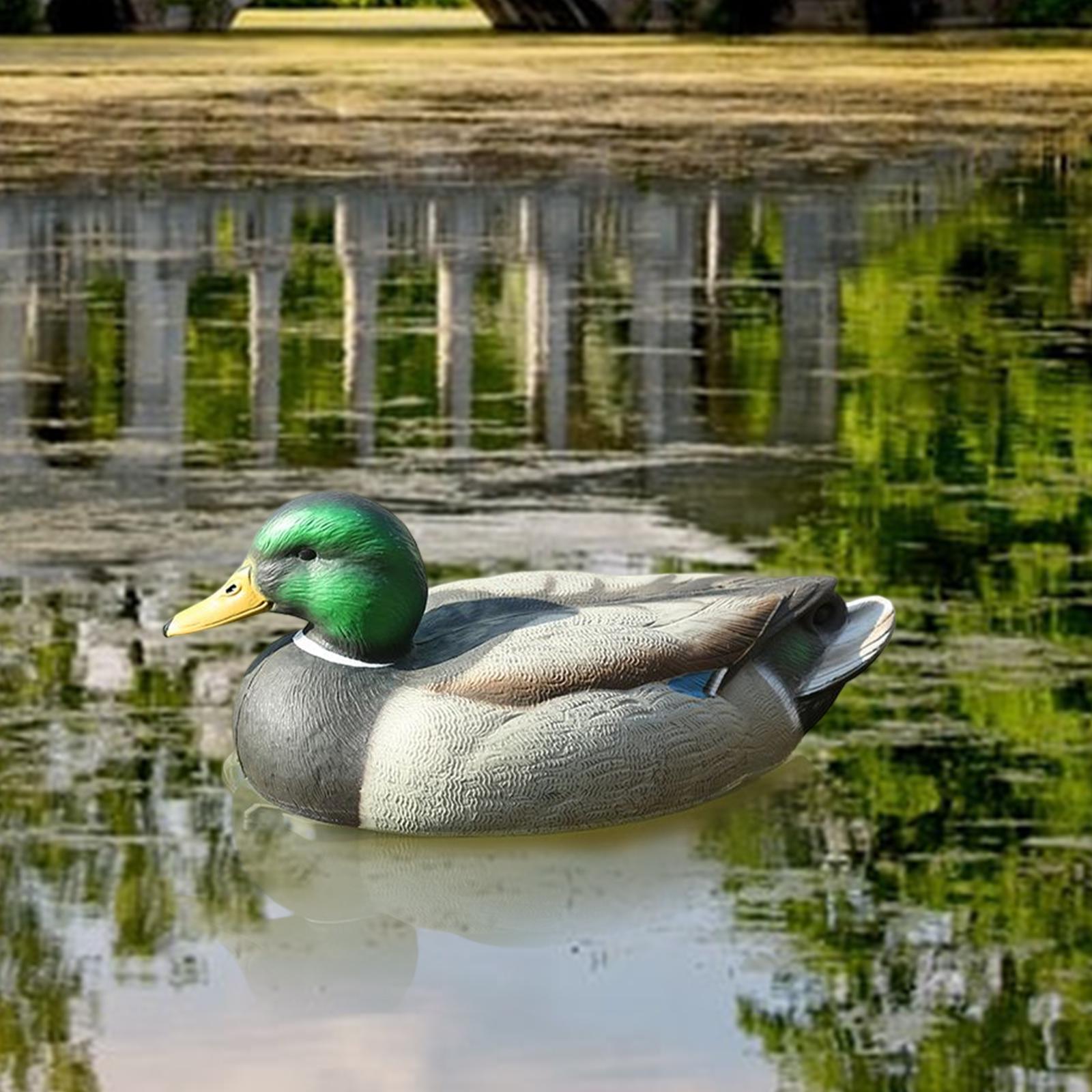 Umpan Bebek Mallard Jantan Pla - Decoy Duck Plastic ulasan dan harga