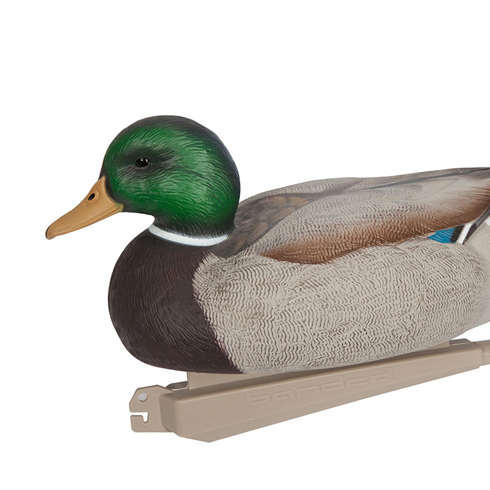 Umpan Bebek Mallard Jantan Pla - Decoy Duck Plastic ulasan dan harga