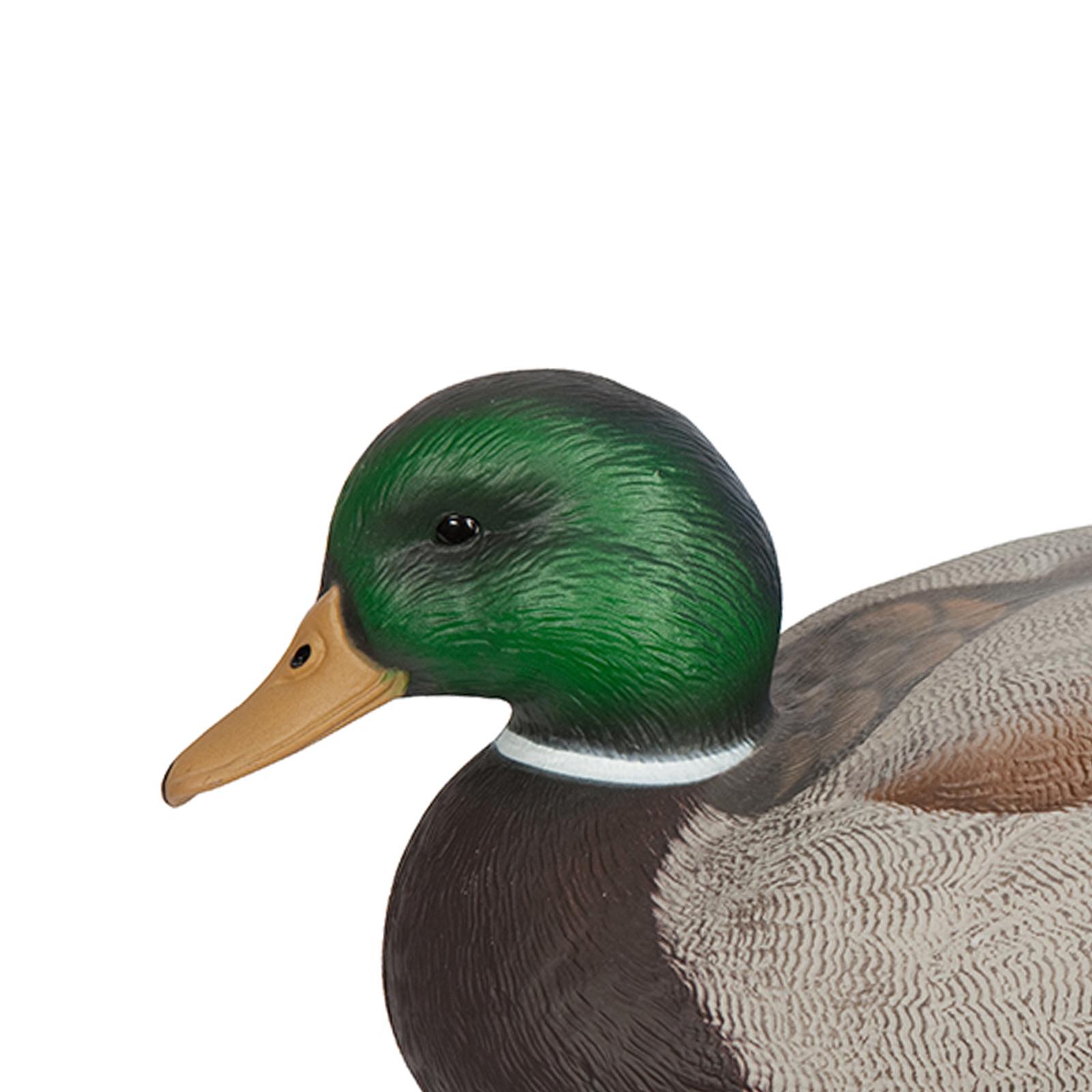 Umpan Bebek Mallard Jantan Pla - Decoy Duck Plastic ulasan dan harga