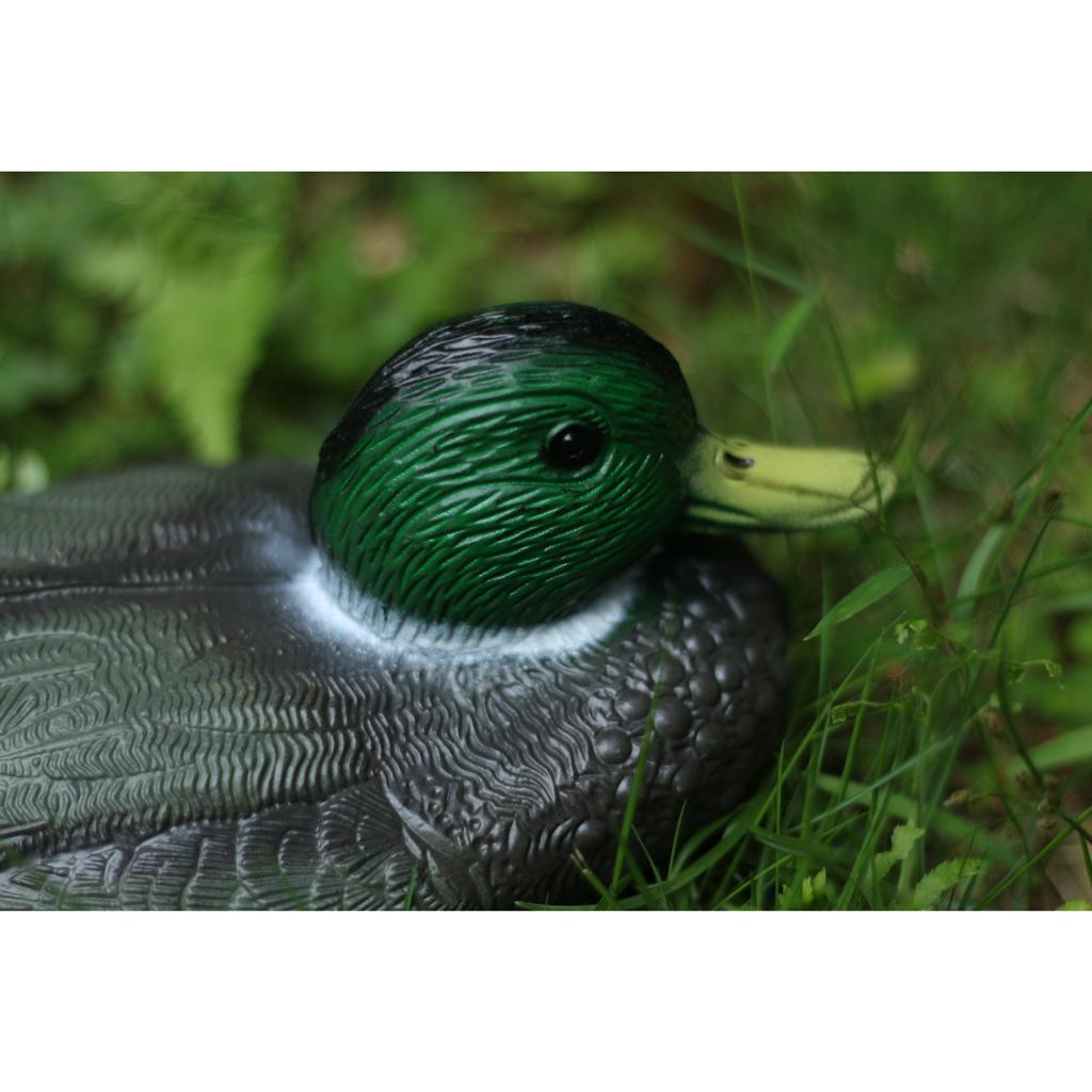 Umpan Bebek Plastik Mirip Asli - Decoy Duck Plastic ulasan dan harga