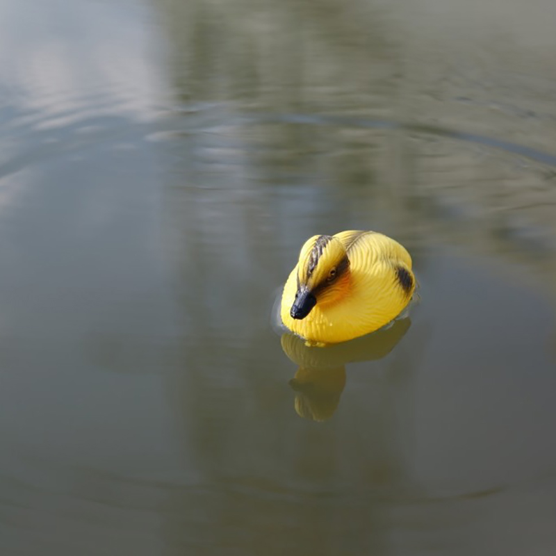 Patung Bebek Mengapung di Kola - Decoy Duck Plastic ulasan dan harga