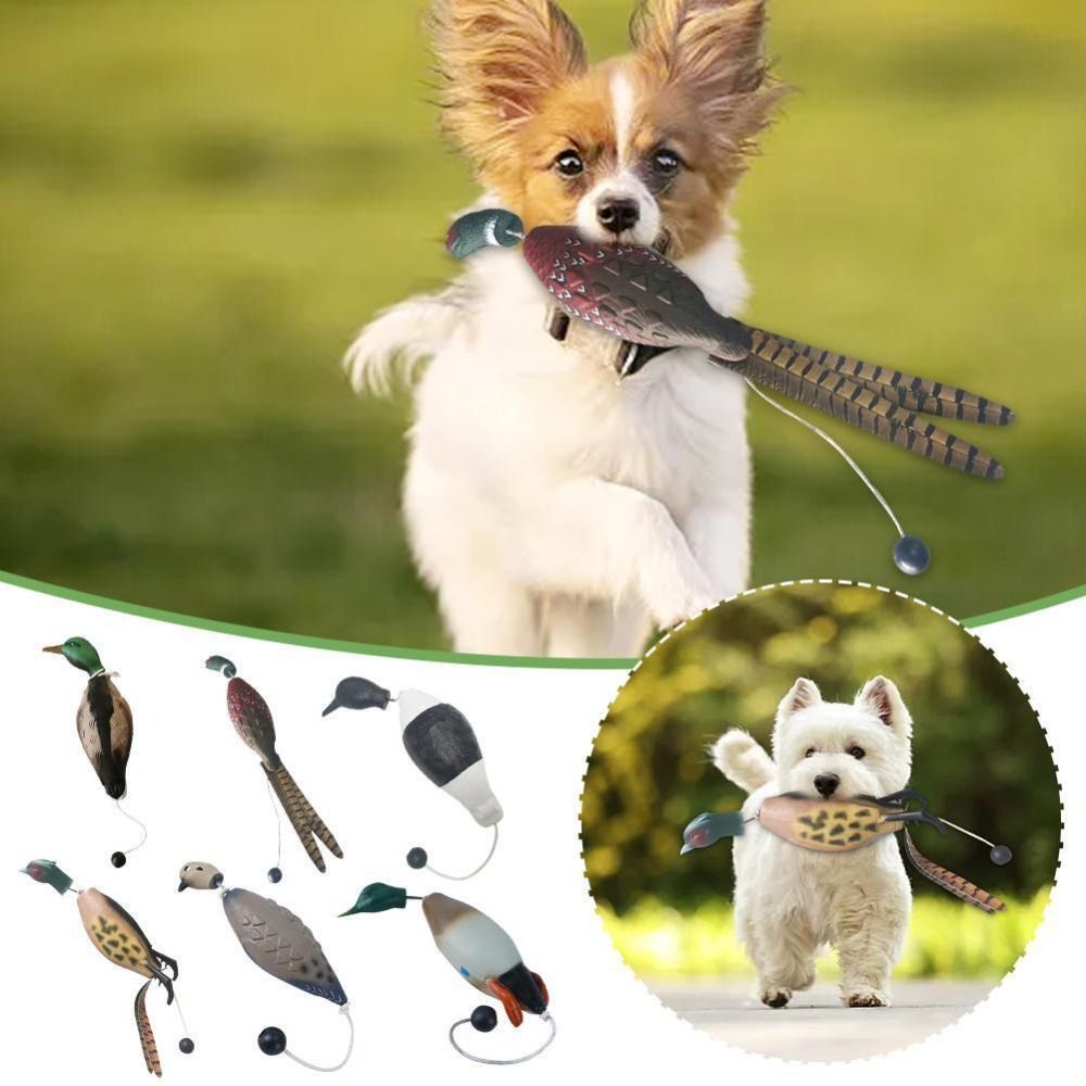 Mainan latihan anjing tahan gi - Decoy Duck Plastic ulasan dan harga