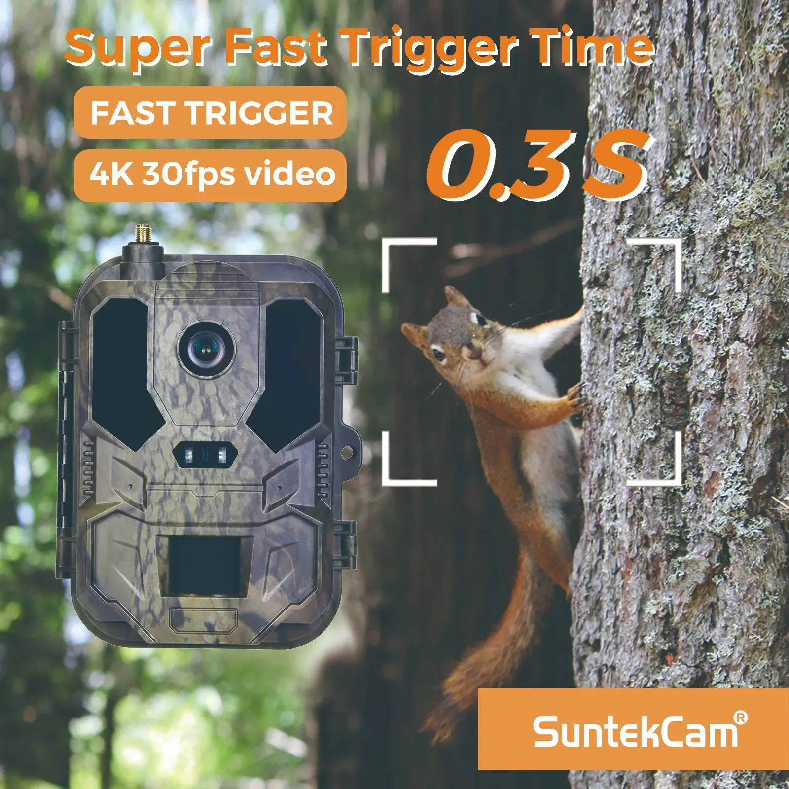 Kamera inframerah satwa liar l - Hunting Outdoor Camera ulasan dan harga