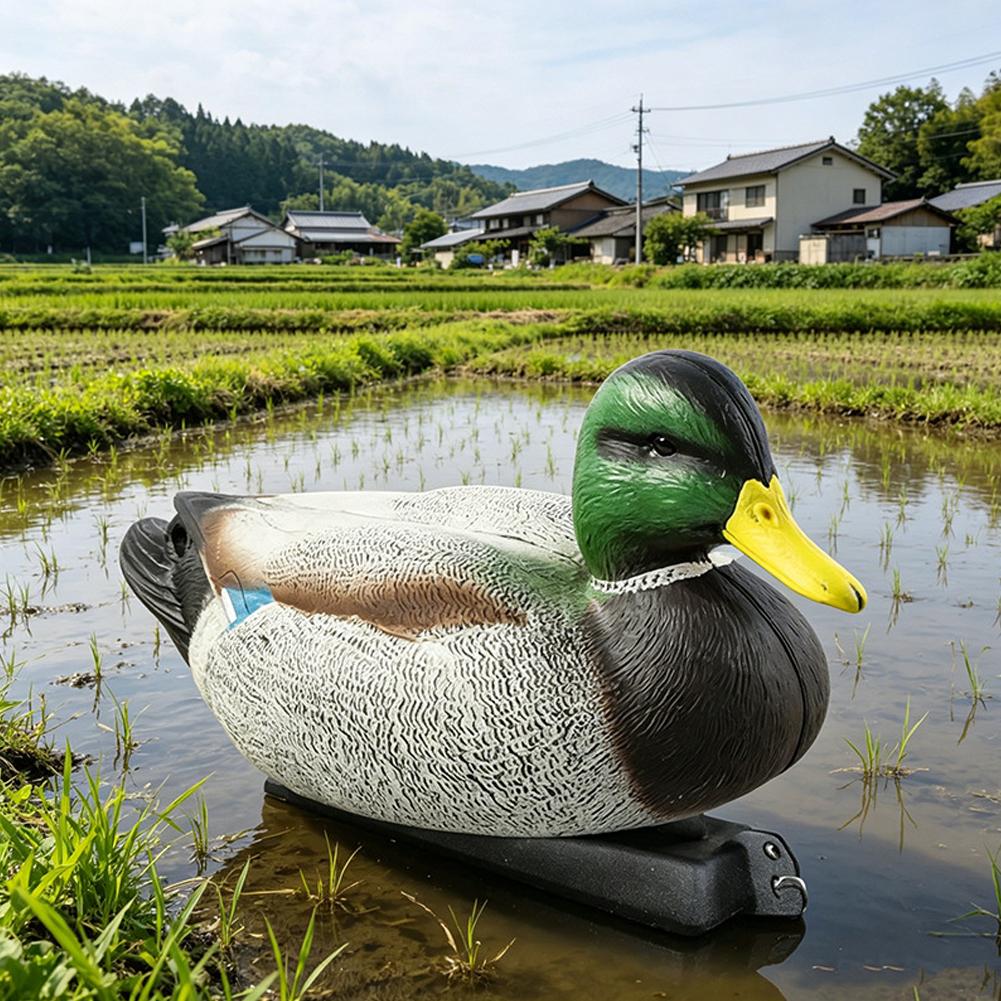 Umpan Bebek Apung 3D Realistis - Decoy Duck Plastic ulasan dan harga